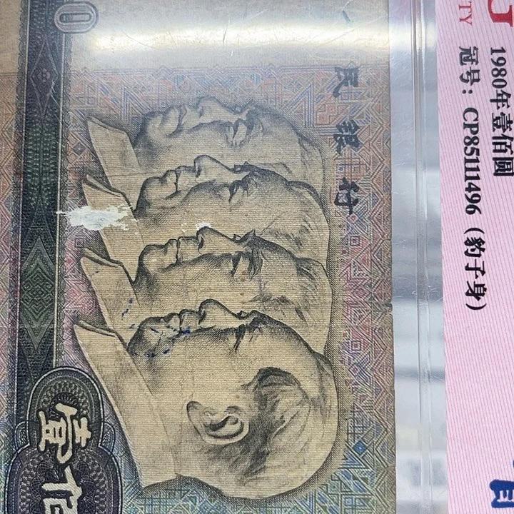 郑*85111496……………………