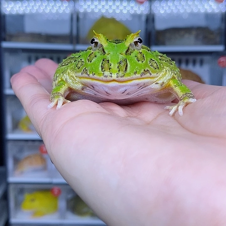 特价秒杀现货特价