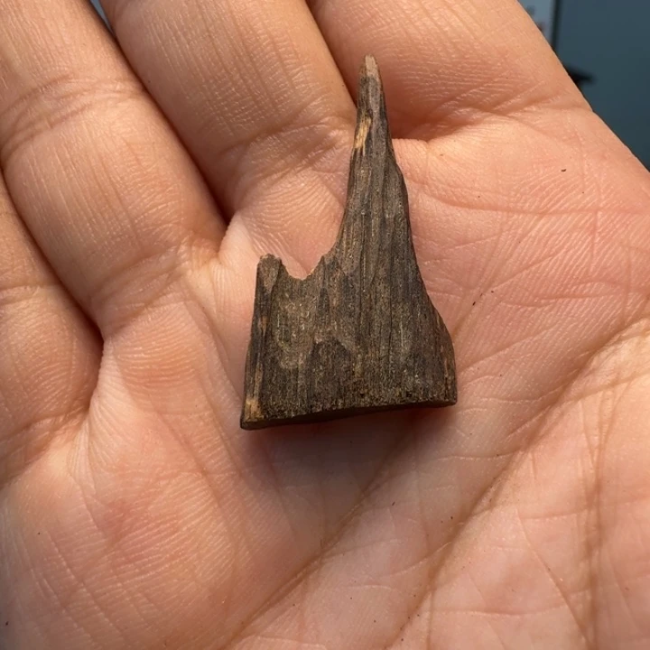 文莱沉水小料0.8克，兰花香