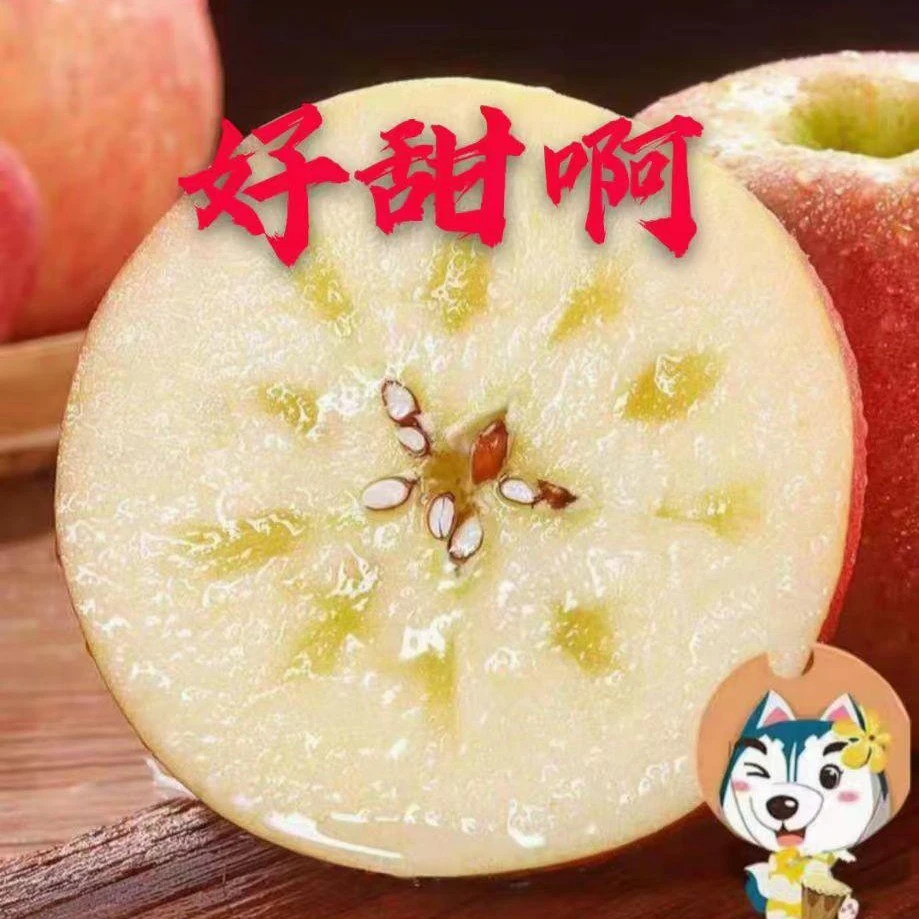 【小辉小燕专属】新疆阿克苏红富士冰糖心苹果产地直发