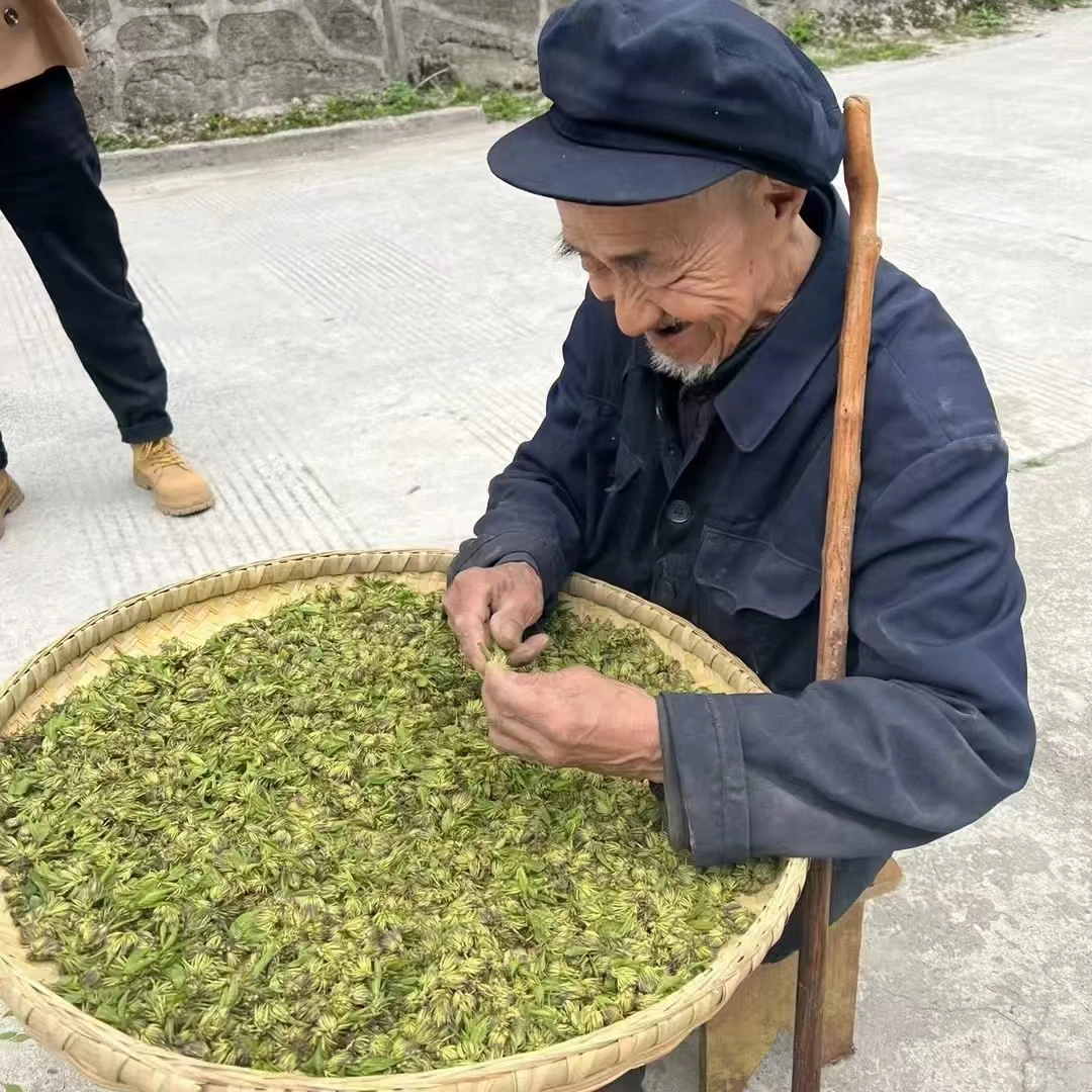 杜仲雄花带花粉秦岭山里三年采一次