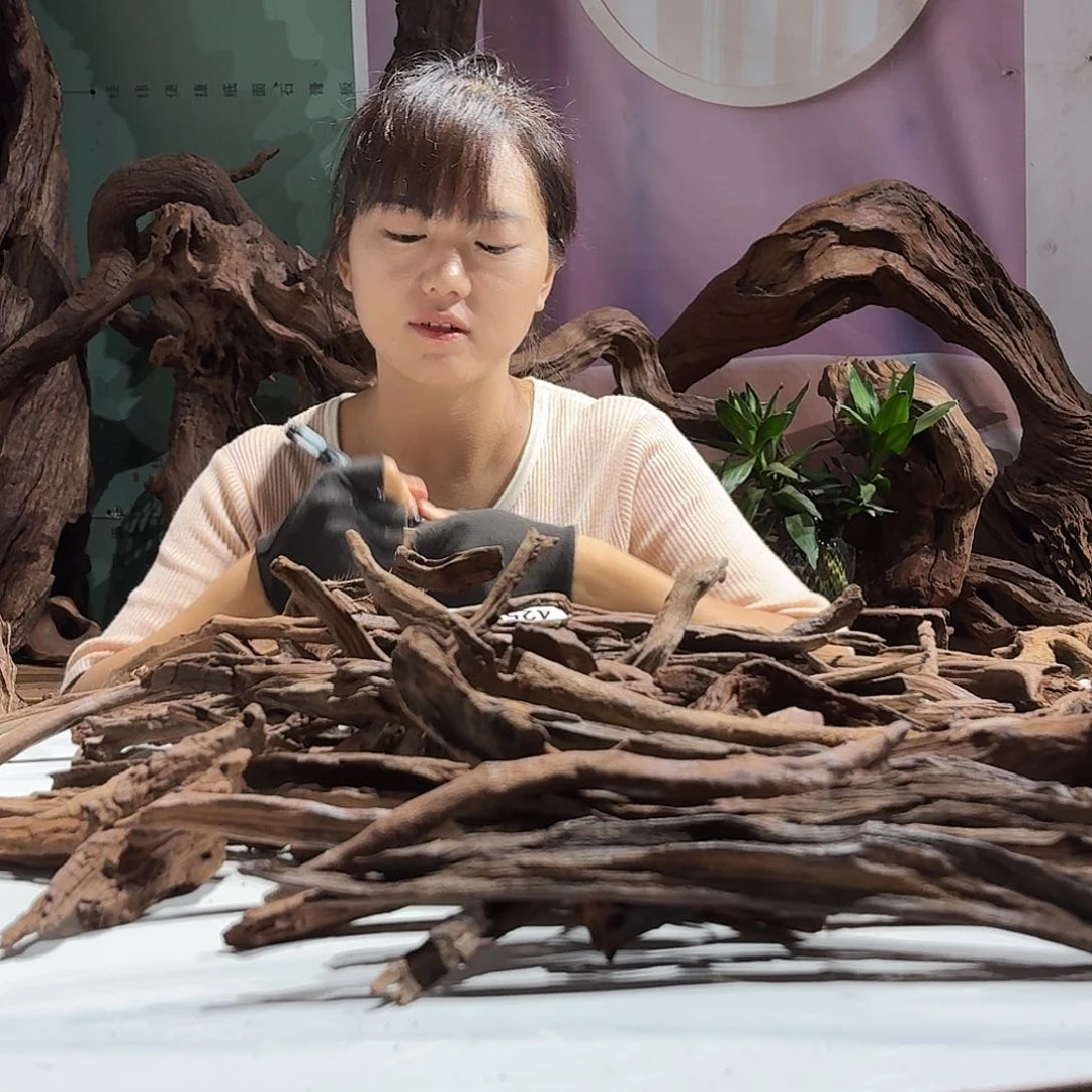 紫砂镂空彼**央紫柚枝条4252