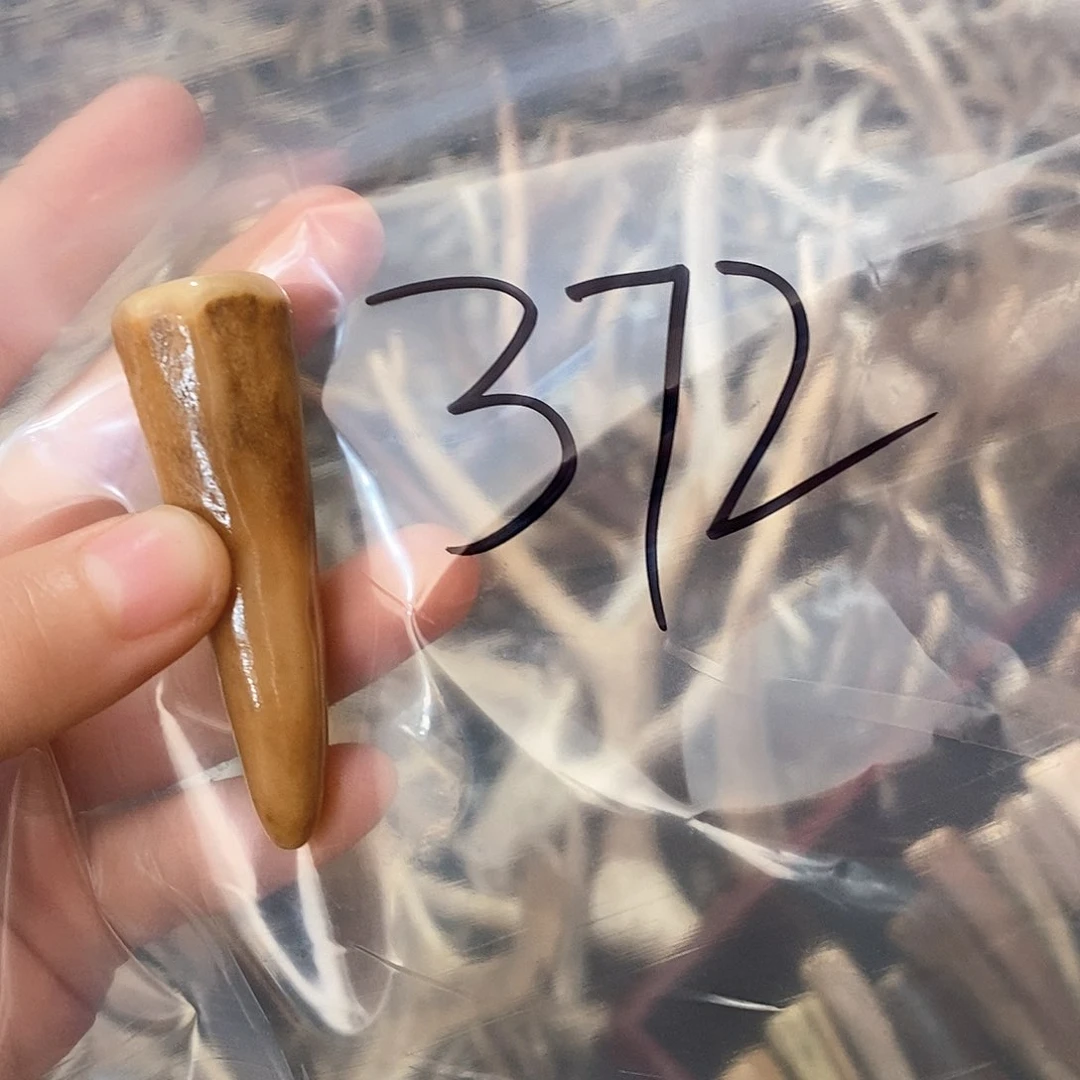 鹿角鹿角鹿角鹿角