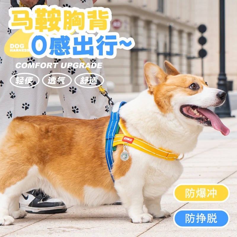 狗狗牵引绳马鞍式中小型犬柴犬法斗柯基专用可调节胸背带遛狗链子