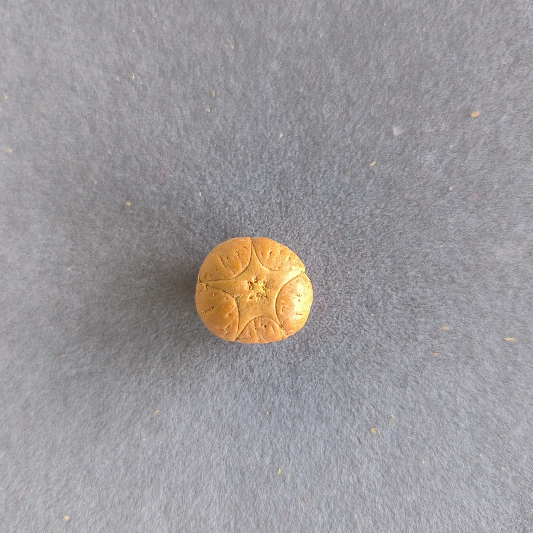 【WF516057】直径16mm厚11mm五星单颗尼泊尔凤眼菩提