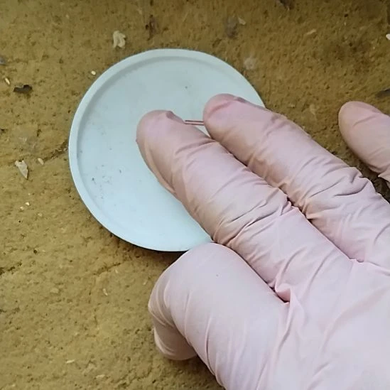 黑***们陶瓷器鉴定完毕之后就