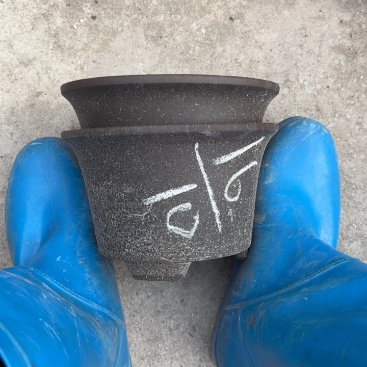 花盆紫砂紫砂的颜色