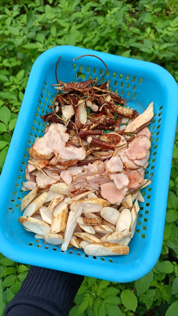 天然农家新鲜除湿三宝牛大力土茯苓五指毛桃煲汤农产品无添加