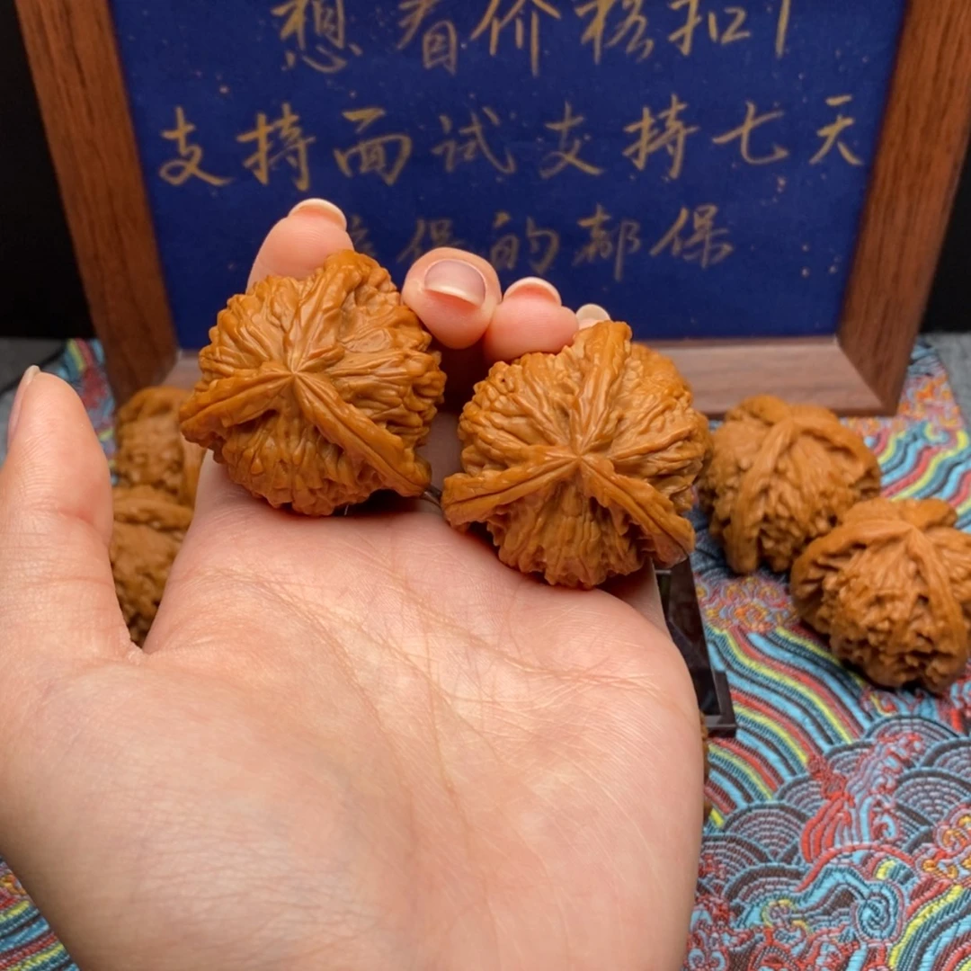 【闪购商品】星**灯白狮