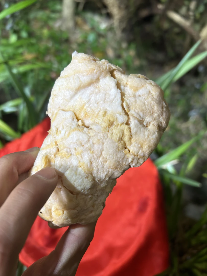 2【天-然-石-太-岁】净含量50g-1500g【阿徐现收】 菌