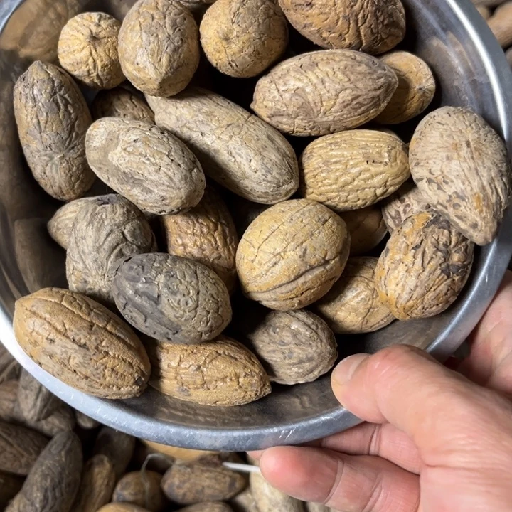 千眼菩提吊坠千眼菩提小胖果 20 个。