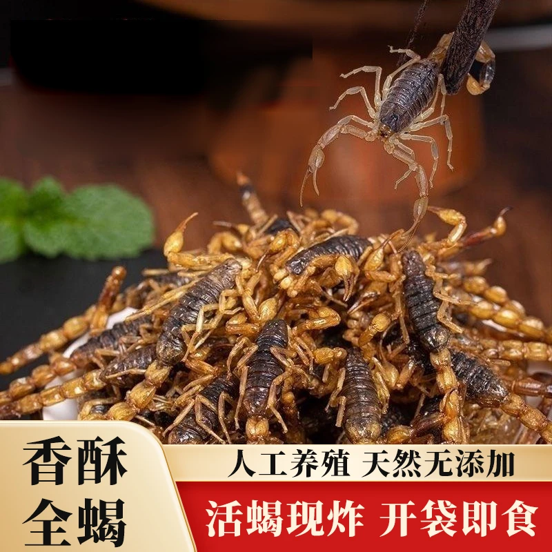 油炸蝎子食用养生滋补佳品洛阳十足下酒全蝎现炸现发即食昆虫美食