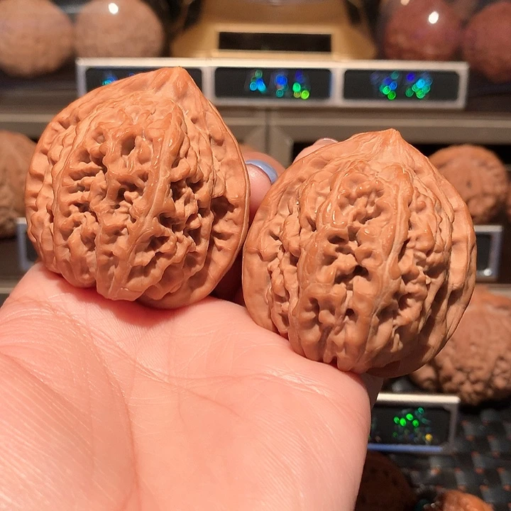 L***r文玩核桃把件凤凰台