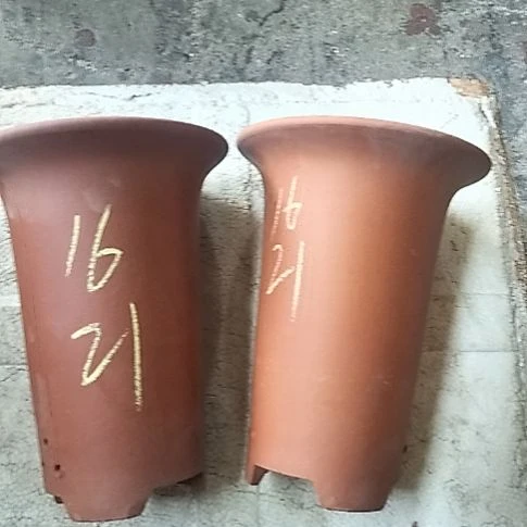 小红兰花两个微瑕