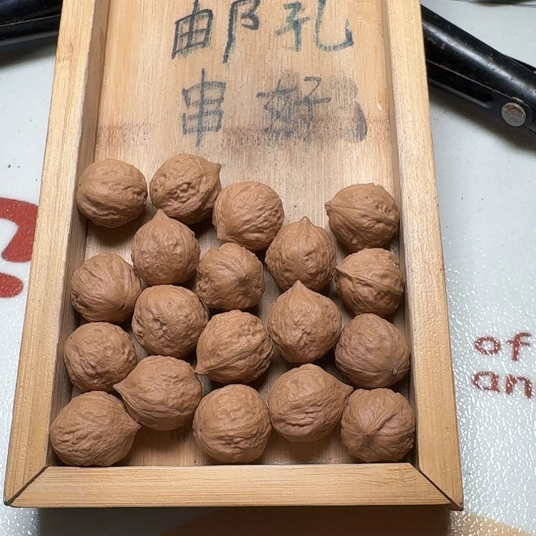 核桃手串/手链63号边肚高20