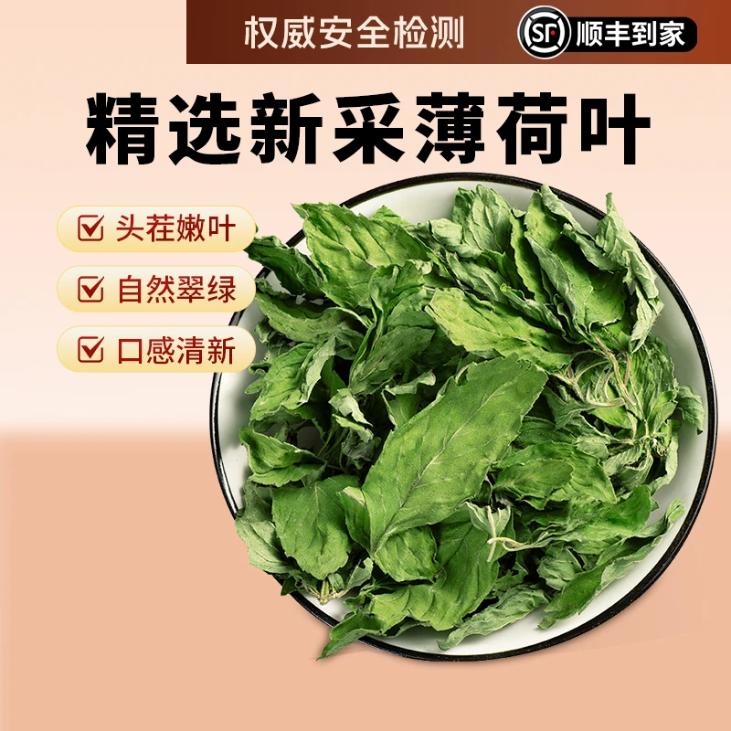 薄荷叶干新鲜薄荷叶食用清凉花草薄荷叶泡茶泡水