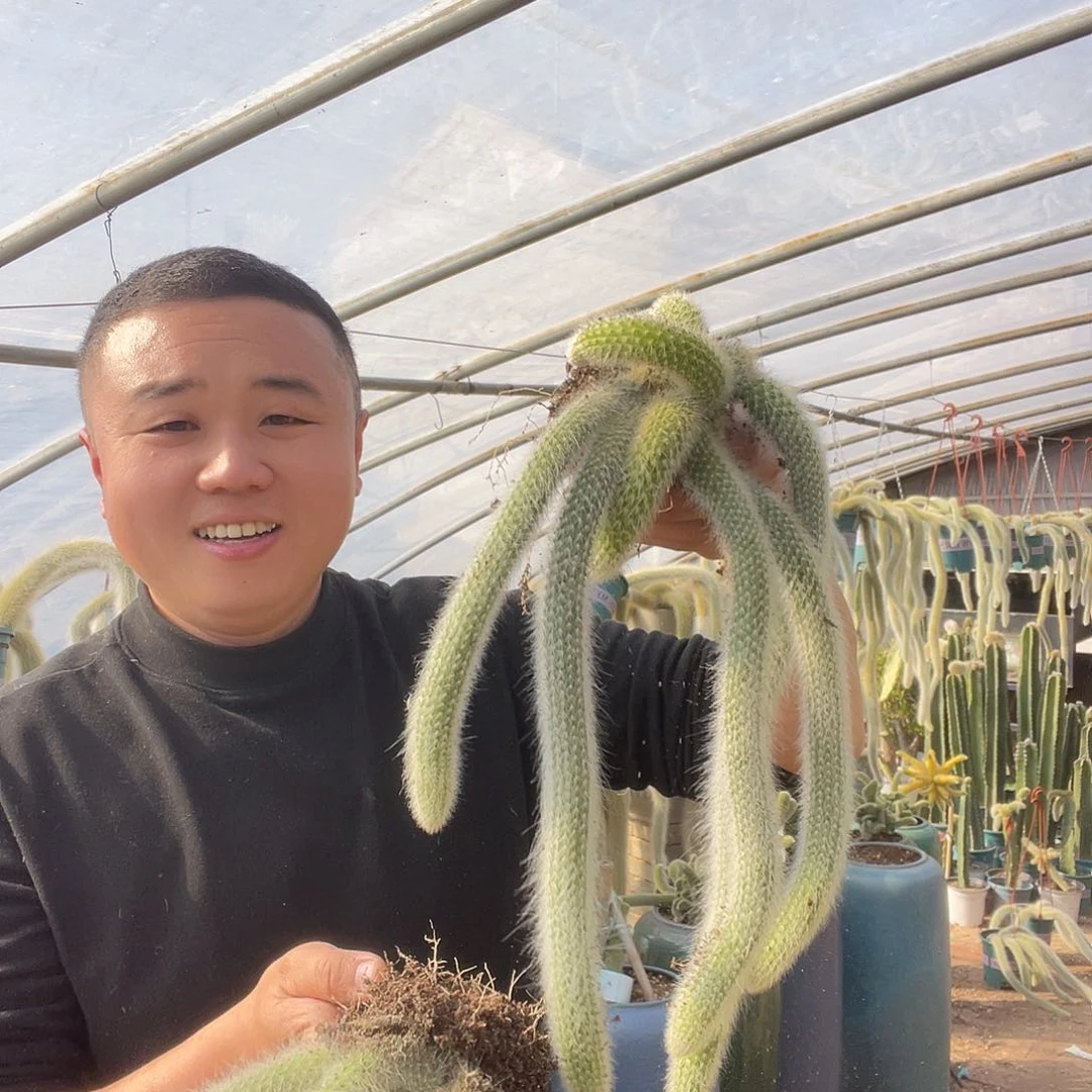 磊**8九尾狐群生一物一拍