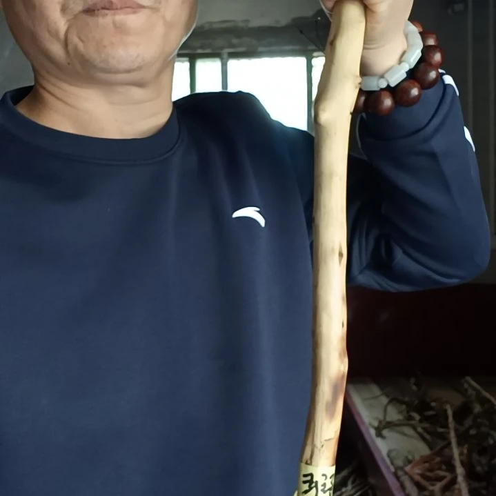 稳定木龍**踞贵州檬子木   铁马鞭   根艺  半成品