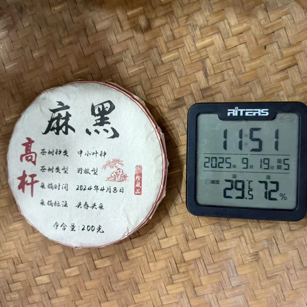 2024年麻黑中小叶种野放型高杆普洱生茶饼200克CY2号9月19日