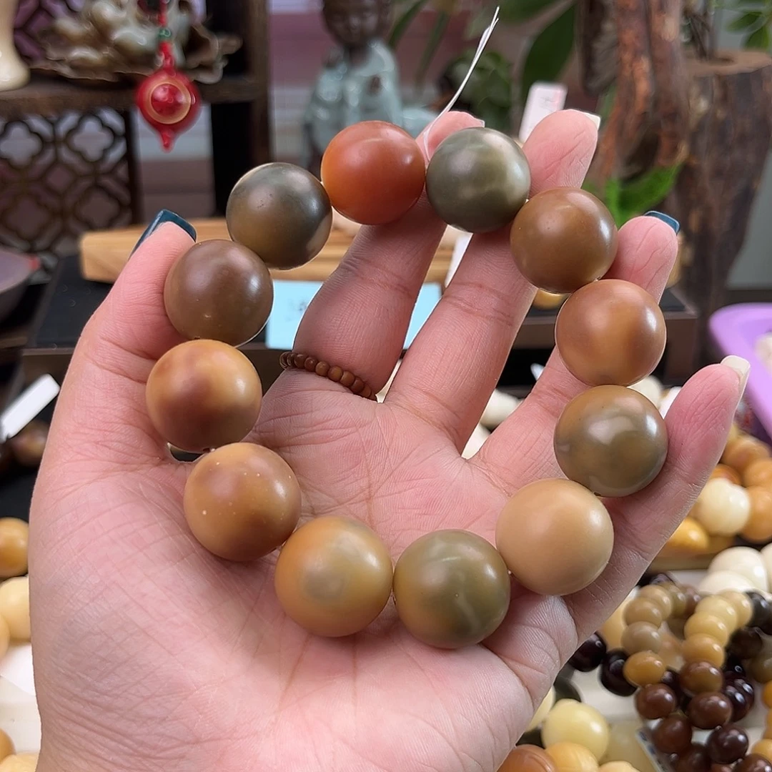吊坠菩提根/象牙果16微瑕不退换