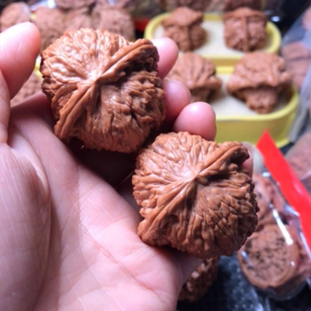 【闪购商品】白狮子尺寸43