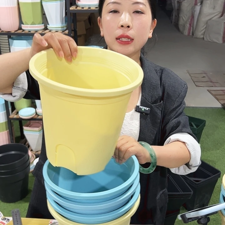 圆控口21高21混色5只无托