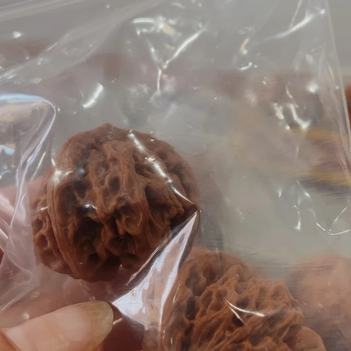 ⿻***࿐手串文玩核桃盘山