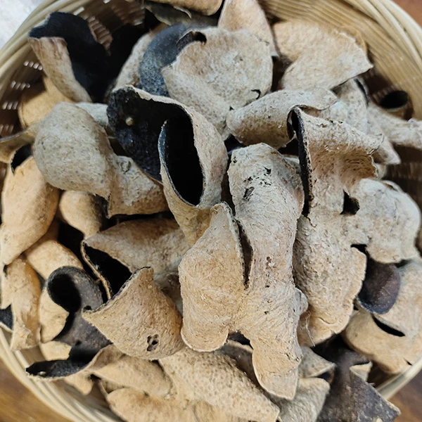 【高货皮推荐】正宗新会陈皮 高货青皮|二红通用链接 ，薄荷香， 陈香