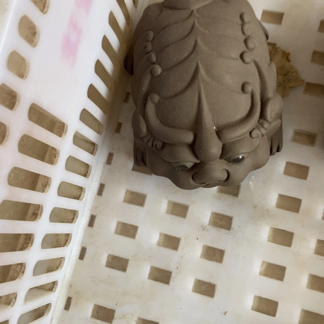 杯直播链接直播链接