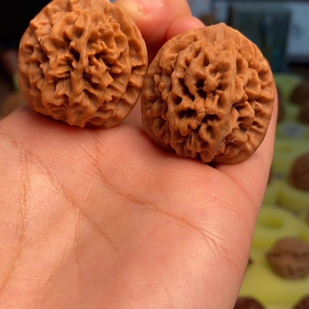 核桃秦岭闷尖狮子头32