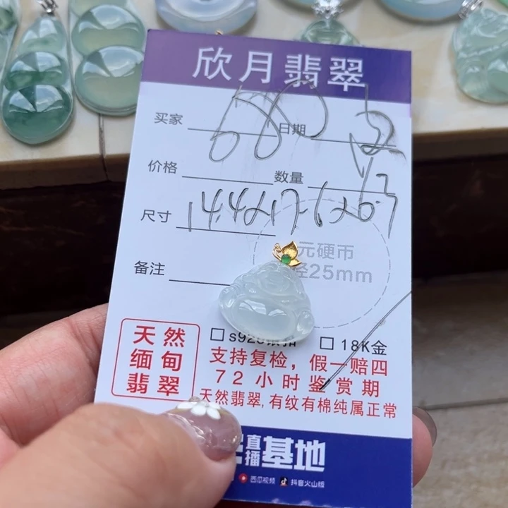 零***分颈饰未镶嵌翡翠天然