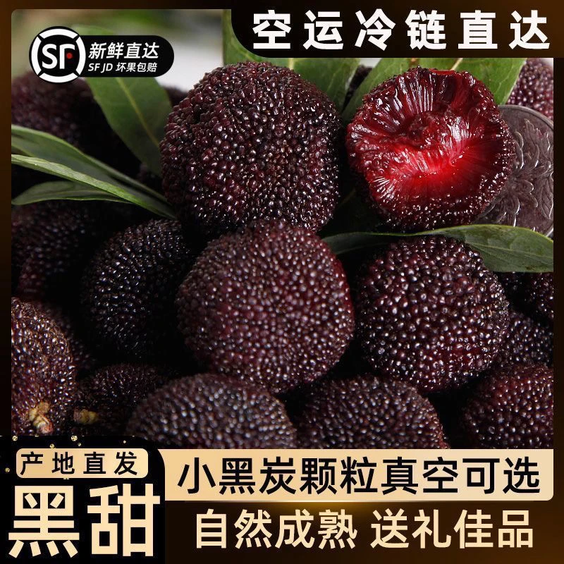 正宗仙居荸荠黑炭杨梅新鲜现摘当季水果爆甜多汁孕妇