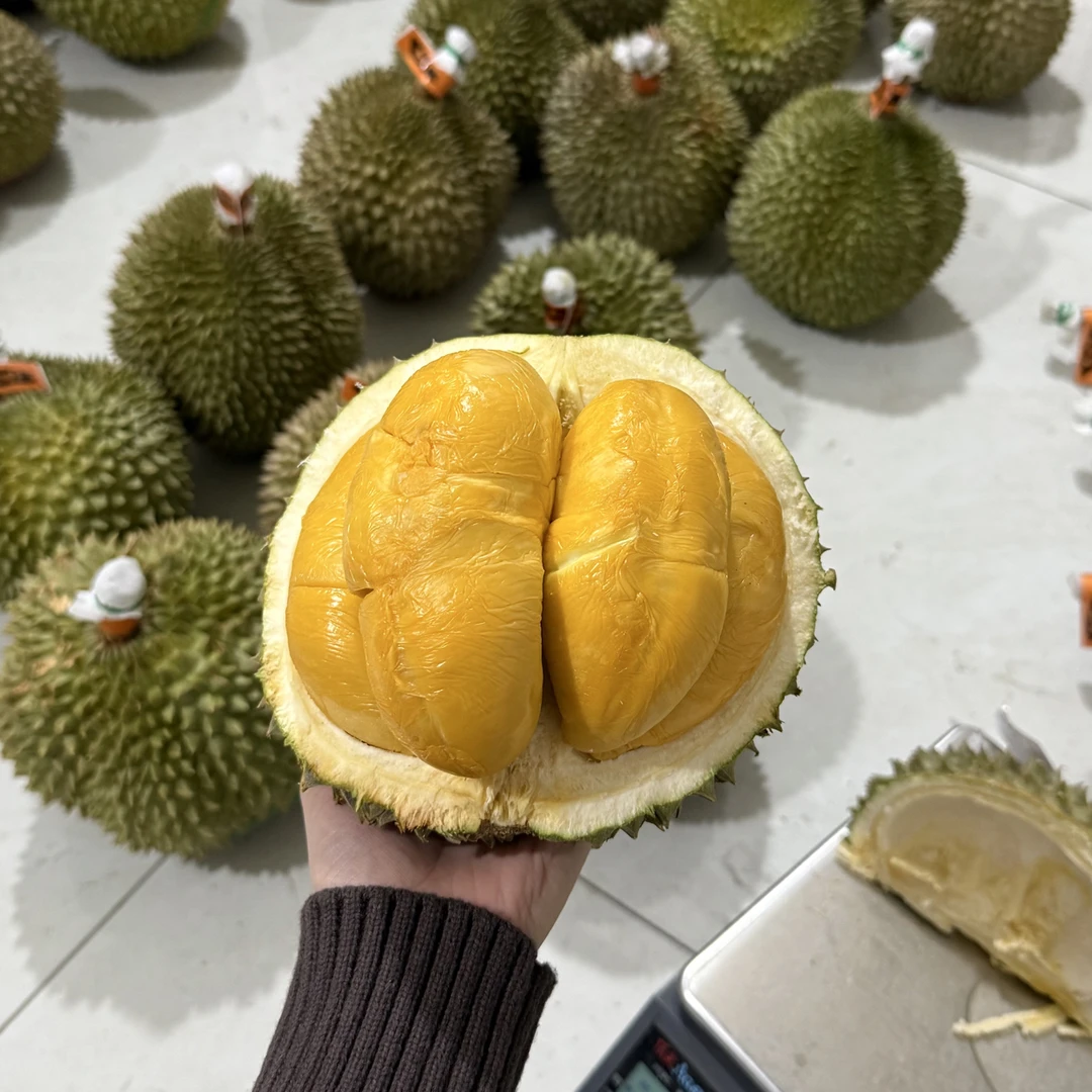 42年老树黑刺 鲜果马来西亚 槟城黑刺 收到直接打开吃不需要催熟
