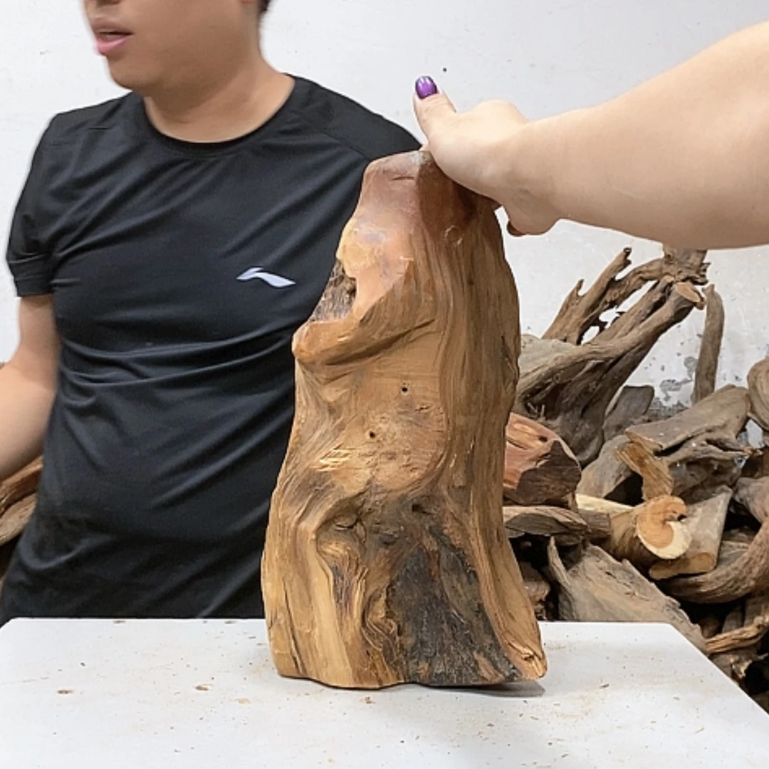 【闪购商品】柏木鱼*乐我们都是好孩子