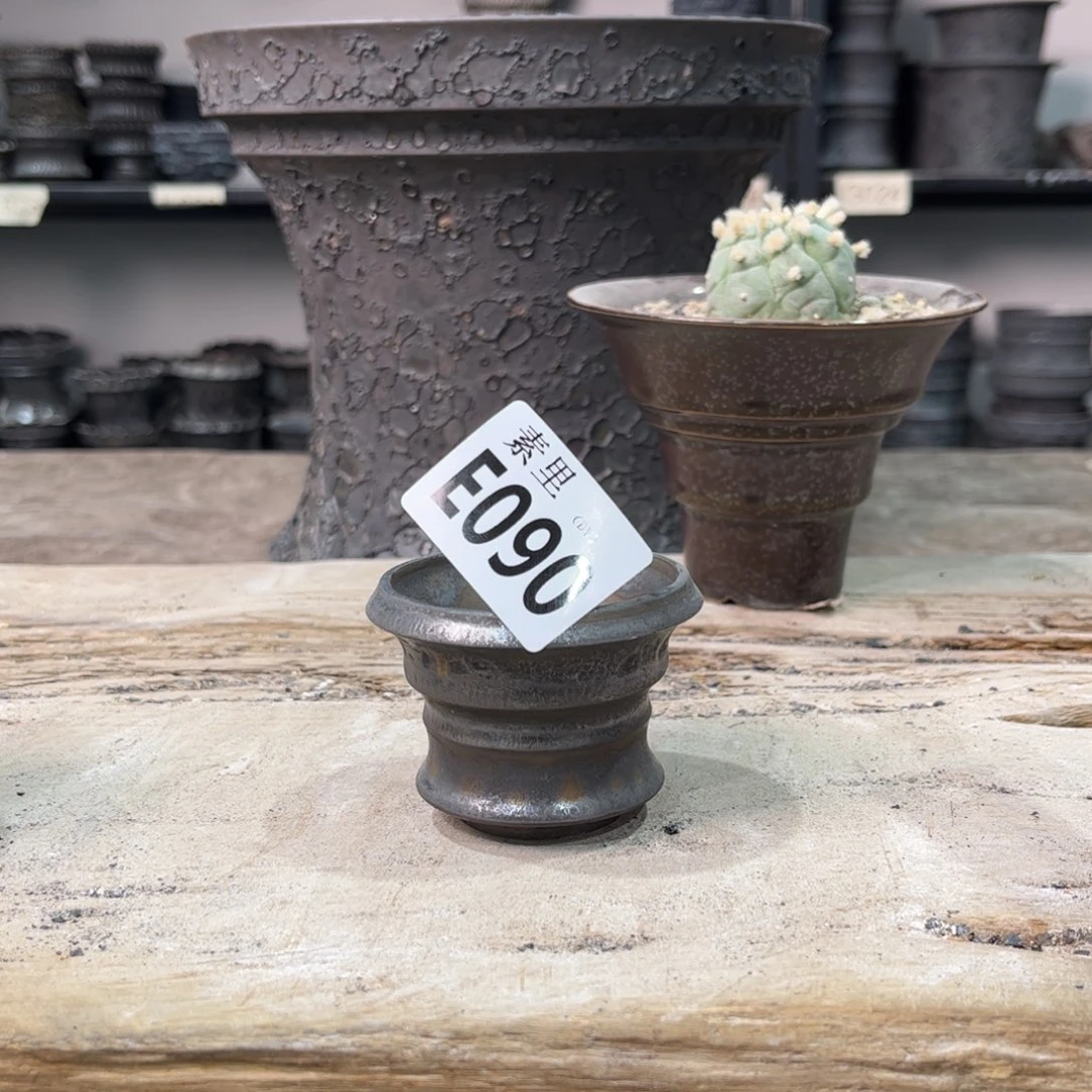 e****陶内口5.5高5瑕疵