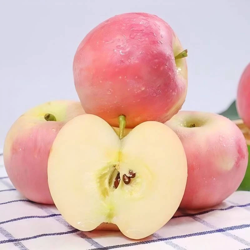 【坏果包赔】正宗陕西高山红富士苹果脆甜可口满口爆汁Y