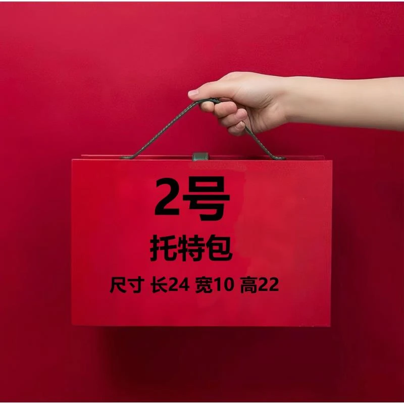 【2号】BL2024时尚轻奢托特包8108