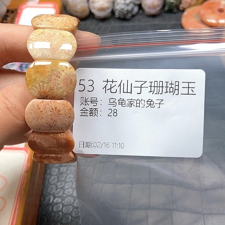 硅化珊瑚（珊瑚玉）手镯未镶嵌乌****子53