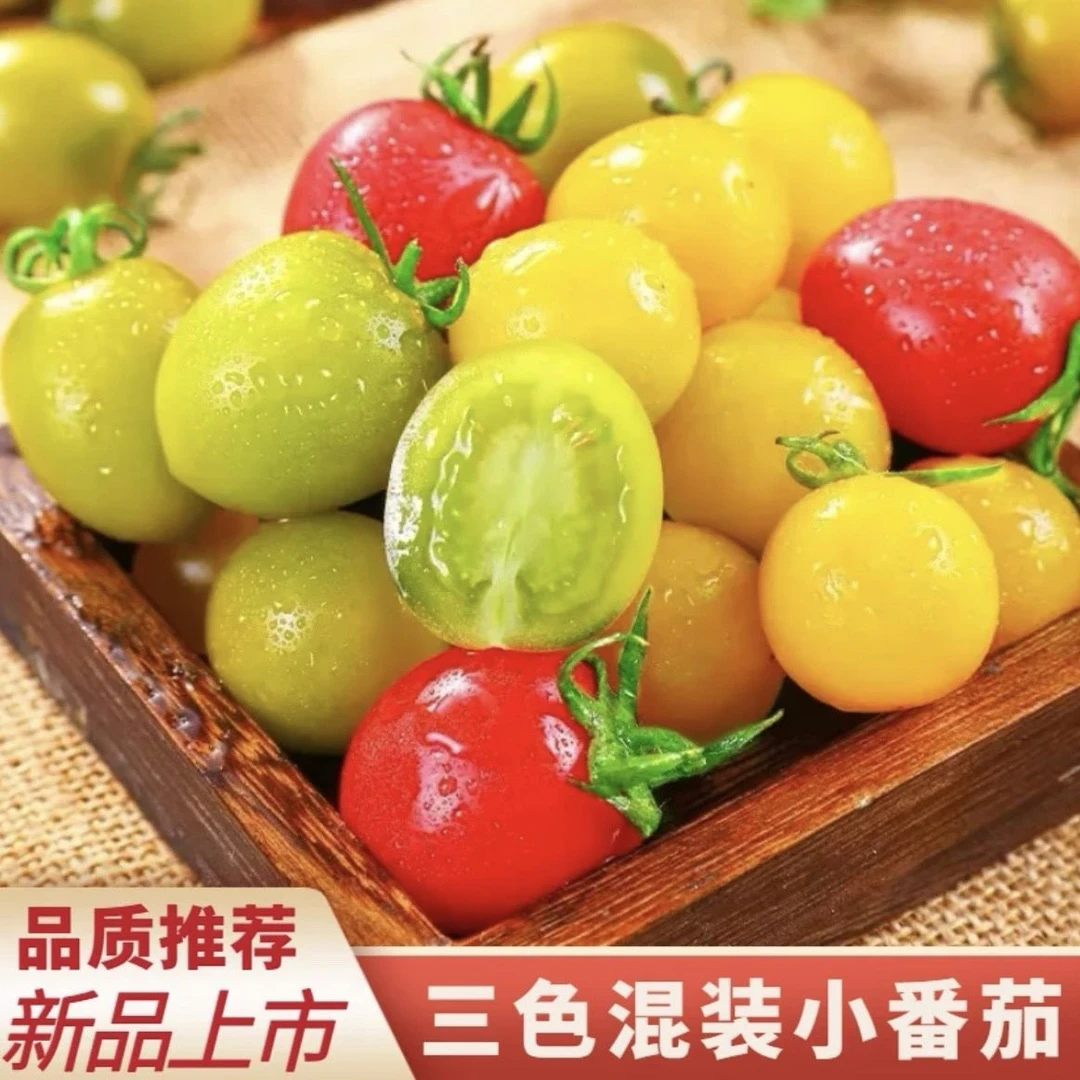 寿光三色小番茄酸甜爆汁圣女果应季水果孕妇顺丰包邮