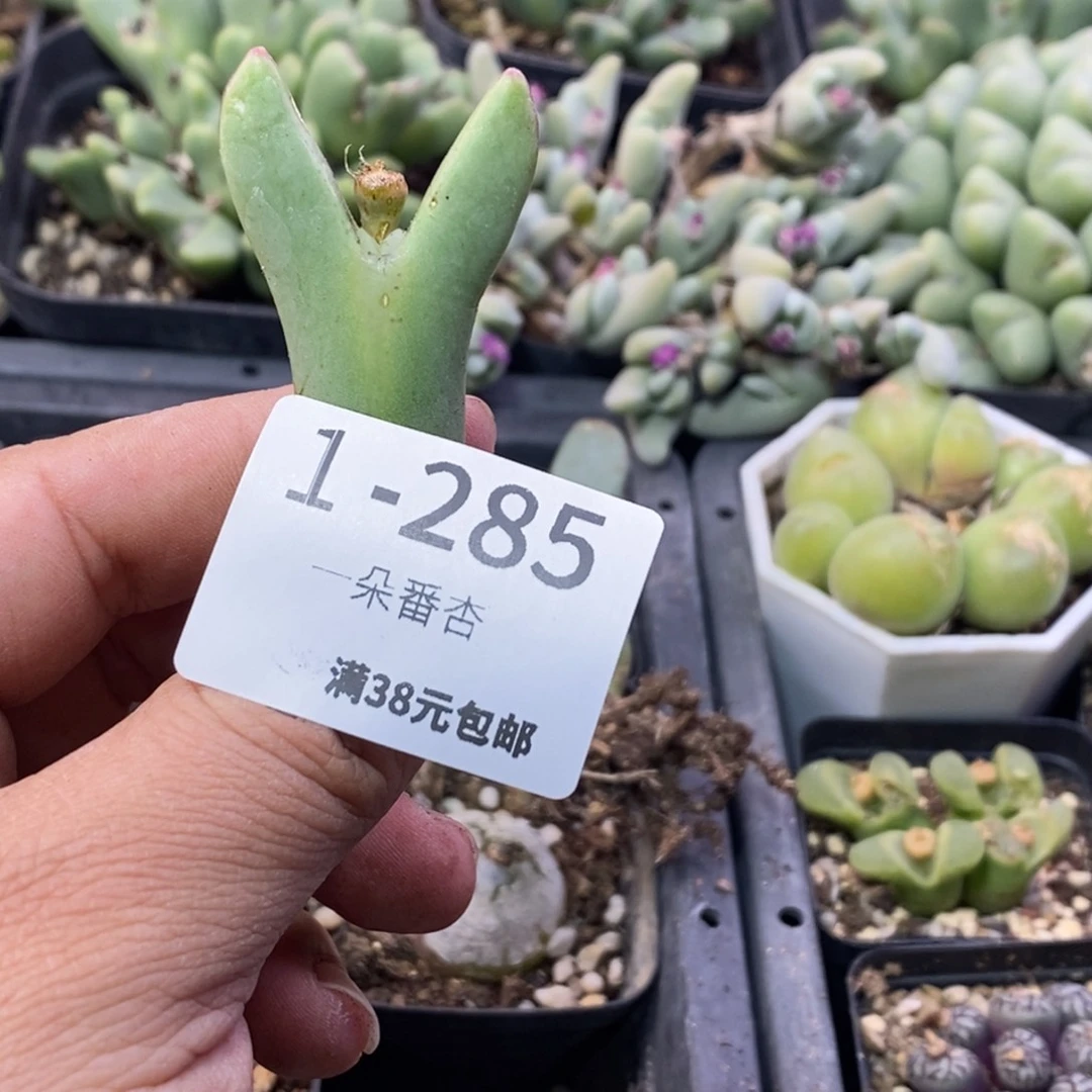 G****.5668669988888888888