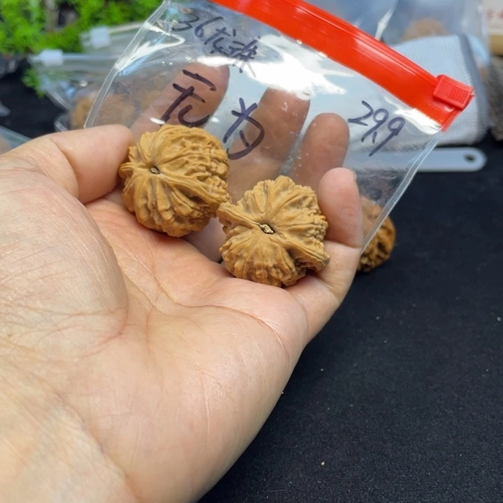 文玩核桃把件无*龙珠