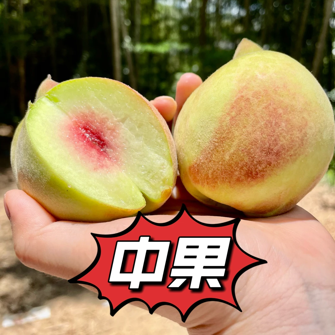 正宗新鲜鹰嘴蜜桃优选大桃王礼盒装