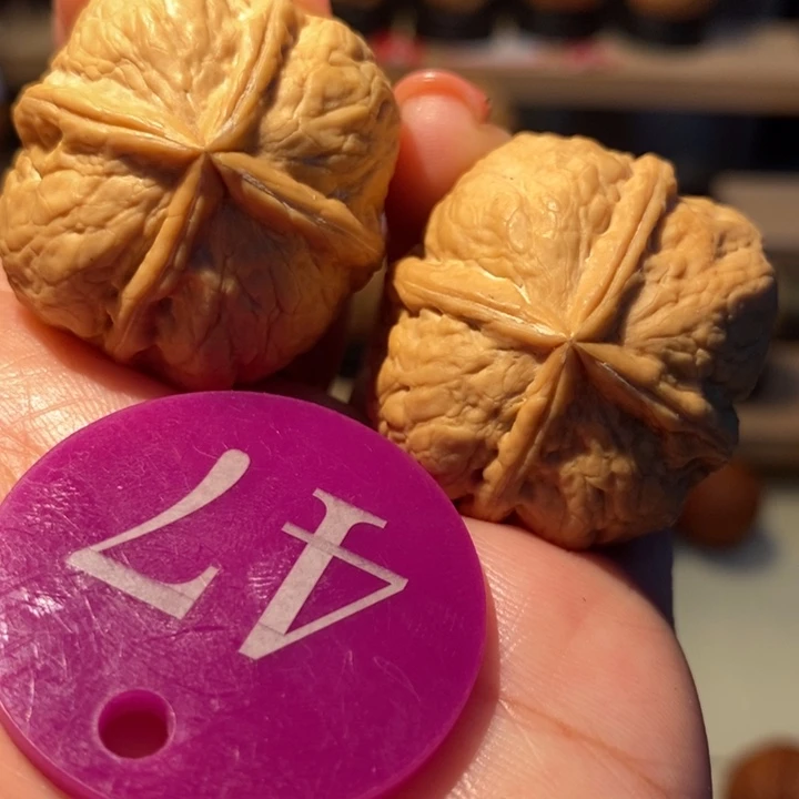菩提籽类四棱骰子36尺寸