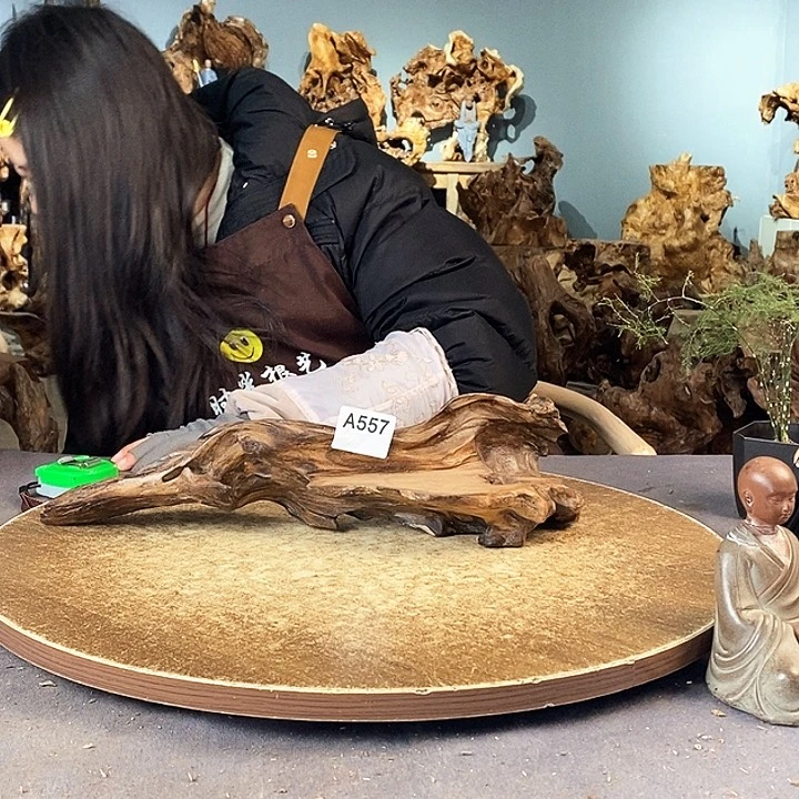 茶盏草**飞557株木的随行的根艺