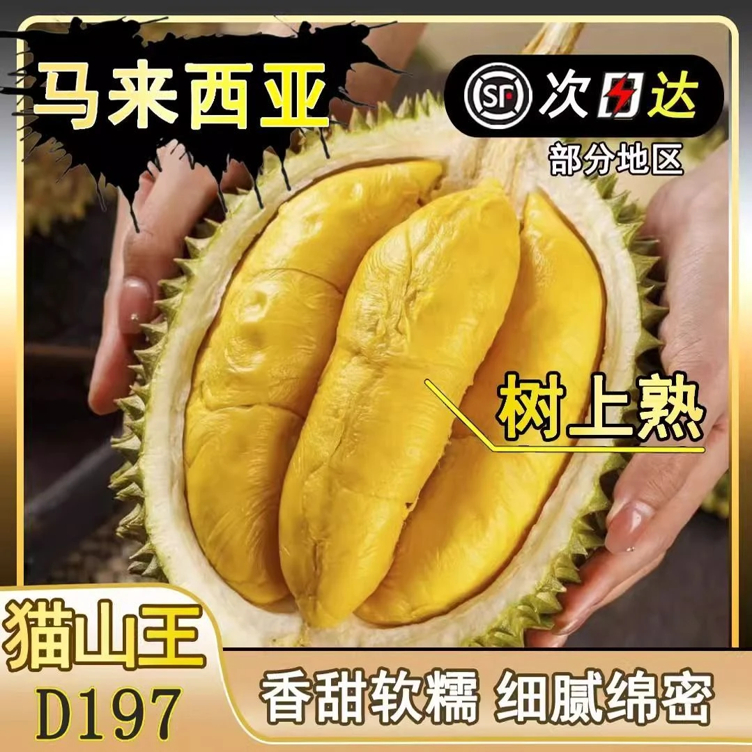 特大号果7斤AA果保5房马来西亚树熟猫山王D197液氮冷冻2.5-20斤