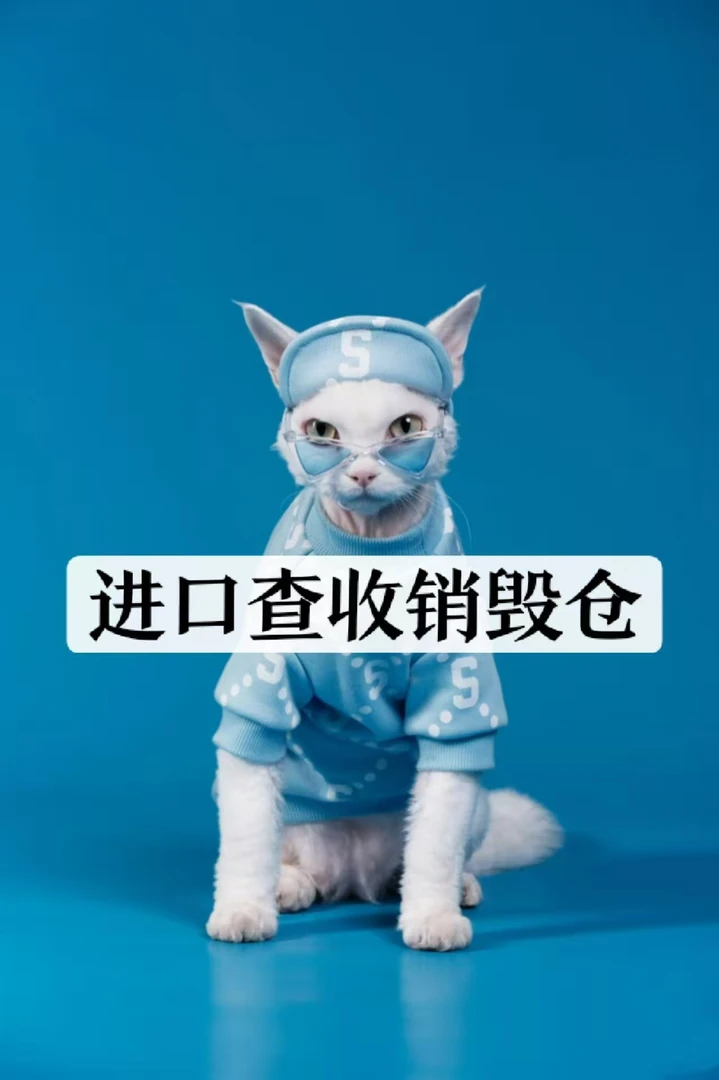 51号-[全新未使用]-E299-新款轻奢潮牌时尚百搭卫衣