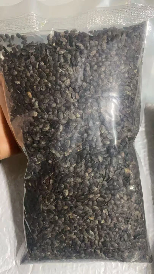 百香果广西干籽，可能会有个别白色果衣