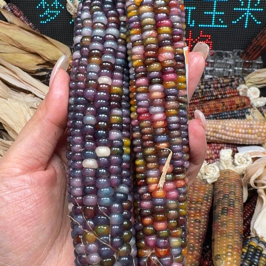 柏香籽/百香籽吊坠娃*菜