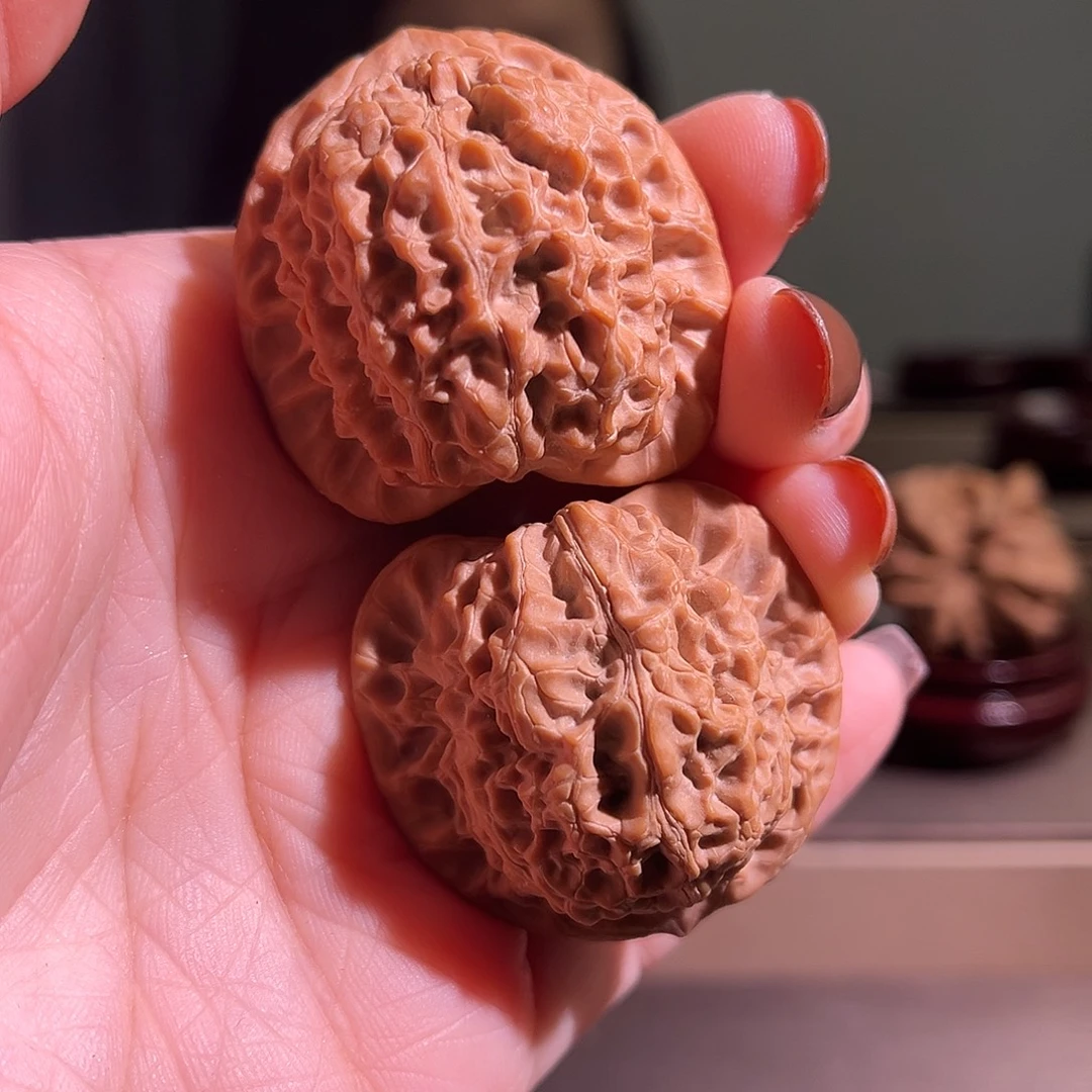 核桃血麒麟全品无休