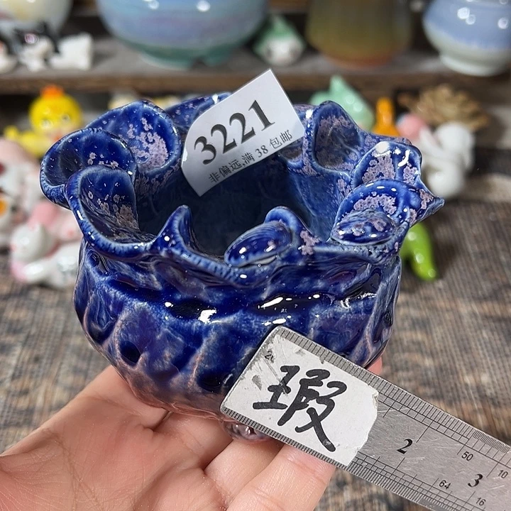 口6 非偏远满30包邮